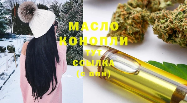 крисы Надым