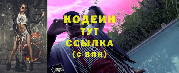 крисы Надым