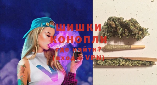 крисы Надым