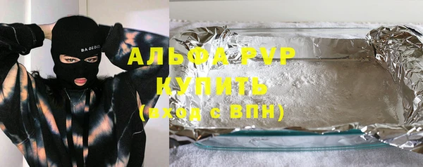 крисы Надым