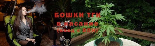 крисы Надым
